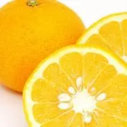 夏みかんの画像