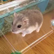 ミケ ♡プロフ必読♡の画像