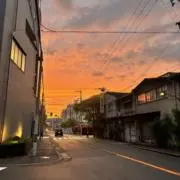 メイの画像