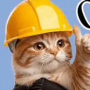 ねこ