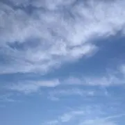 にこまる