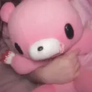 蓮の画像