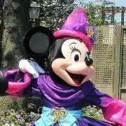 りんごの画像