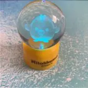 キイロイトリの画像