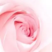 まるすけの画像