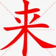Raiの画像
