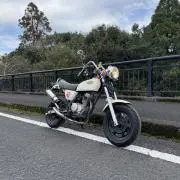 たけとらの画像