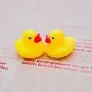 あひるの画像