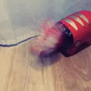 いむの画像