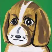 mdbの画像