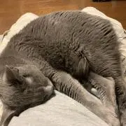 kazuの画像