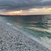 海