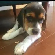 みの画像