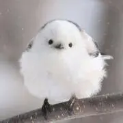 ＭＩの画像