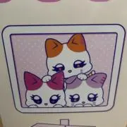 きょんの画像