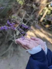 ちはるる