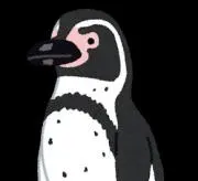 ビナカペンギンの画像