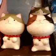 珊瑚の画像