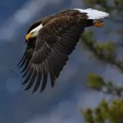 ゆーの画像