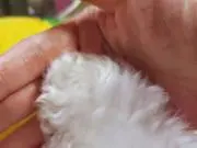 ☆ほだっこ☆