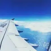 ゆのみ