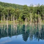 俊坊の画像
