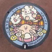 カメ