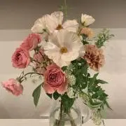 みこたまの画像