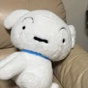 ayapanの画像