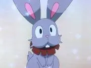 もちもち断捨離*即購入OK*の画像