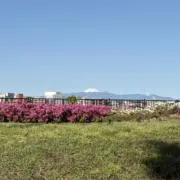 にらたまの画像