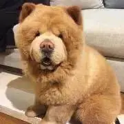 sou :) *プロフ必読*の画像