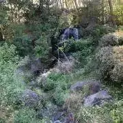 てん