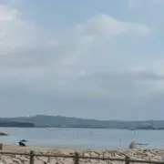 ayaの画像