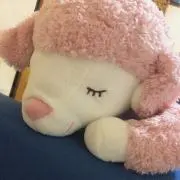かずまるの画像