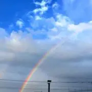 虹橋 ワタル