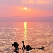 Wakuwaku29の画像