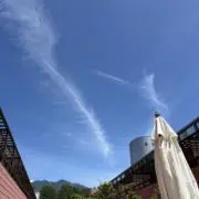 キキの画像