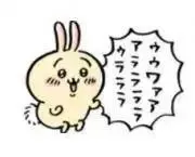 うさぎの画像