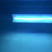 ものぐさの画像
