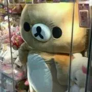 Image of ゆーき プロフ確認お願い致します。