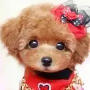 あやこの画像