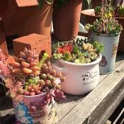 ちぃの画像