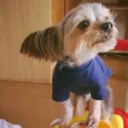 hiro