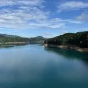 いぬ　プロフ必読の画像