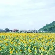 砂
