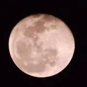 サトカの画像