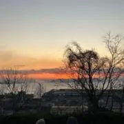 かいとの画像