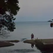 あああの画像