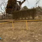 たぬままの画像